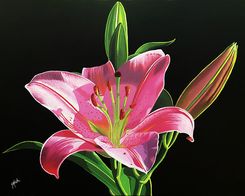 Stargazer